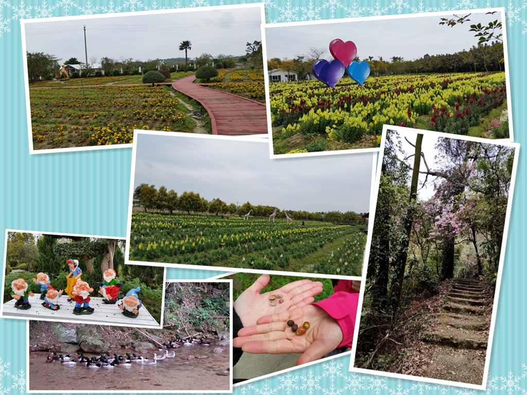 香草世界与王子山森林公园